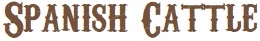 old heirloom American Spanish breeds of cattle